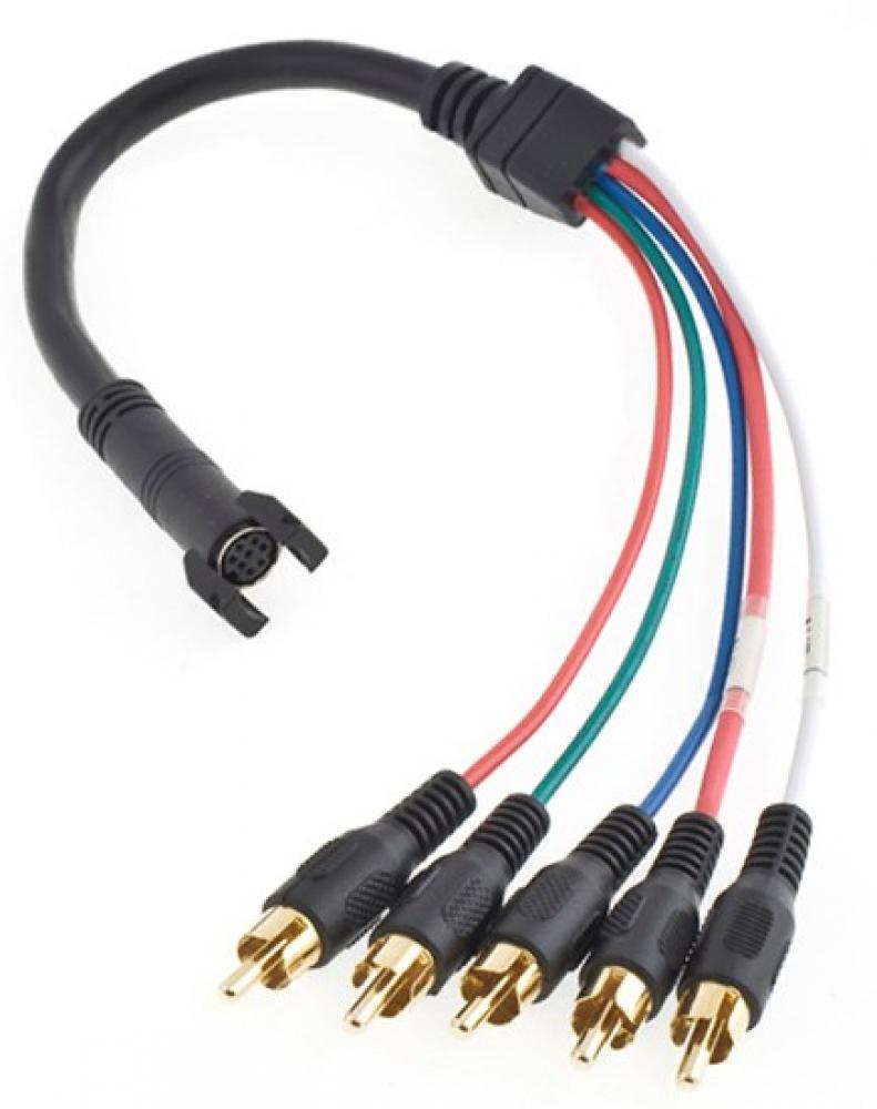 P-CORD, AVTAIL,5RCA COMP,LR AUD,8PN F,1&#39;