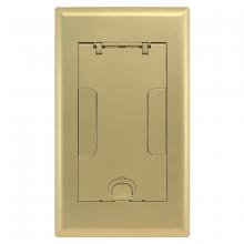 Hubbell Wiring Device-Kellems 2GAFBCVRBRS - 2G AFB CVR, FLUSH, BRASS POWDER