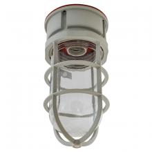 Hubbell Wiring Device-Kellems NVA15GHGA - MARINE INCAND. LIGHT FIXTURE